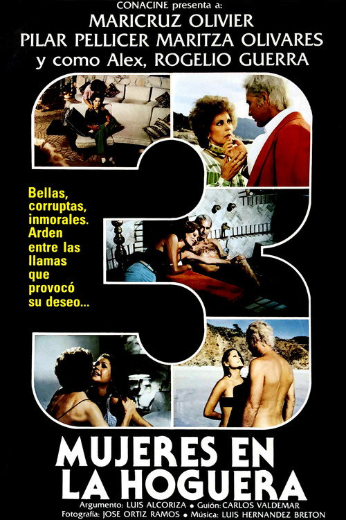 Movie poster for Three Women in a Bonfire (1979)
