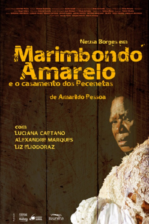 Movie poster for Marimbondo Amarelo (2009)