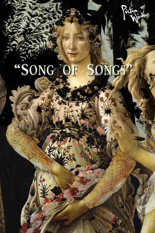 Movie poster for Picture Windows: Song of Songs (1994)