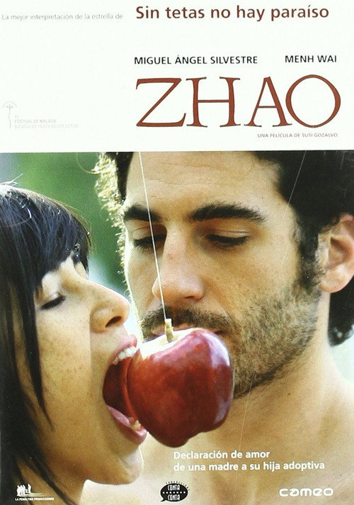 Movie poster for Zhao (2009)