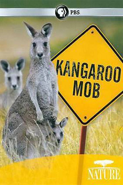 Movie poster for Kangaroo Mob (2011)