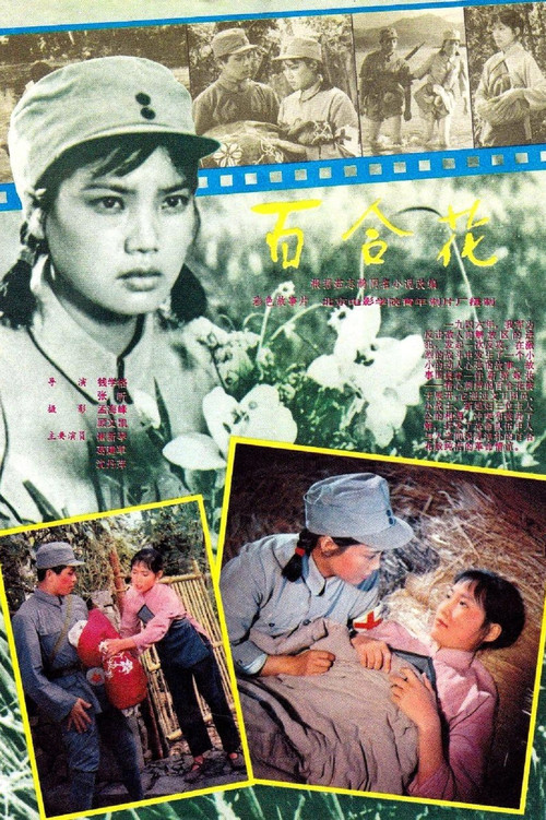 Movie poster for Bai he hua (1981)