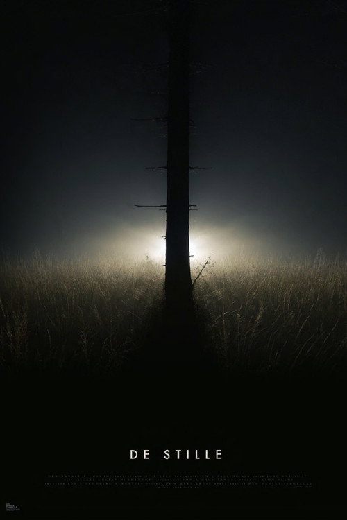 Movie poster for De Stille