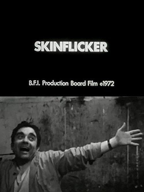 Movie poster for Skinflicker (1972)