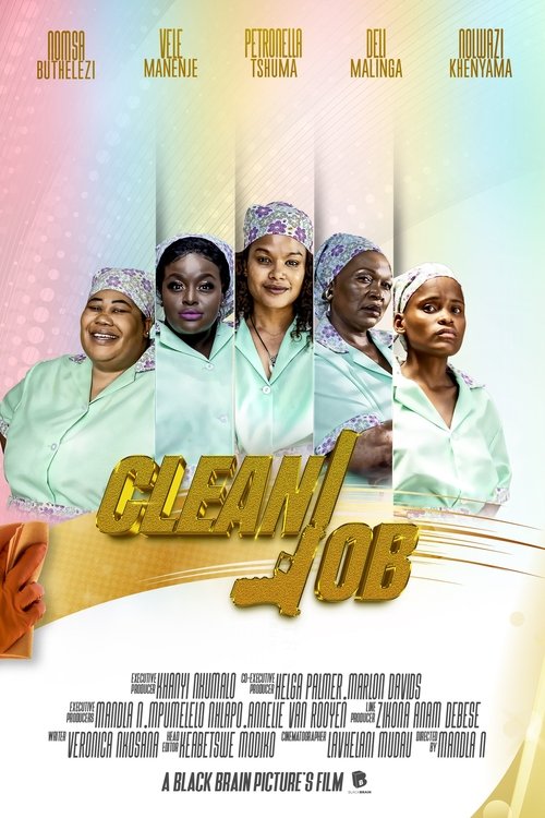 Movie poster for Clean Job (2023)