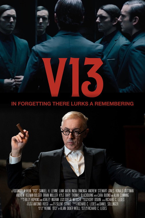 Movie poster for V13 (2025)