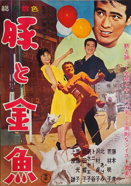 Movie poster for Pig and Goldfish (1962)