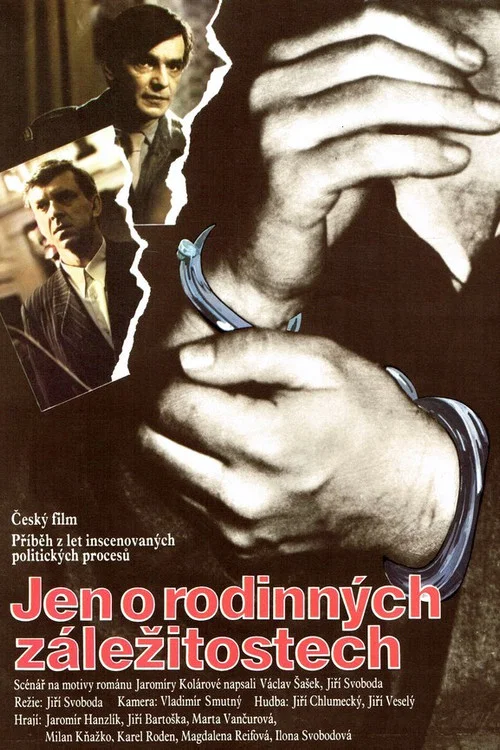 Movie poster for Jen o rodinných záležitostech (1991)