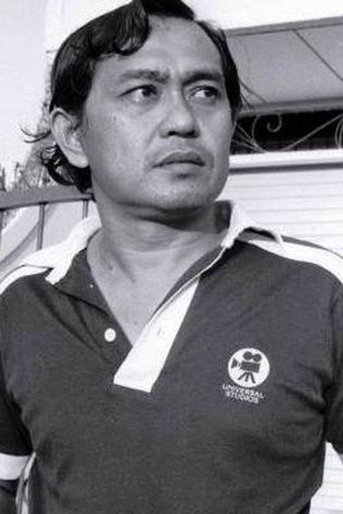 Photo of Arizal, Directing