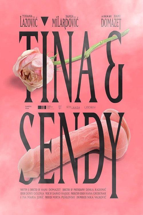 Movie poster for Tina & Sendy (2017)