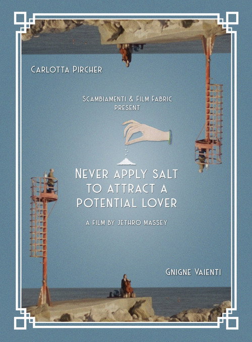 Movie poster for Never apply salt to attract a potential lover (2020)