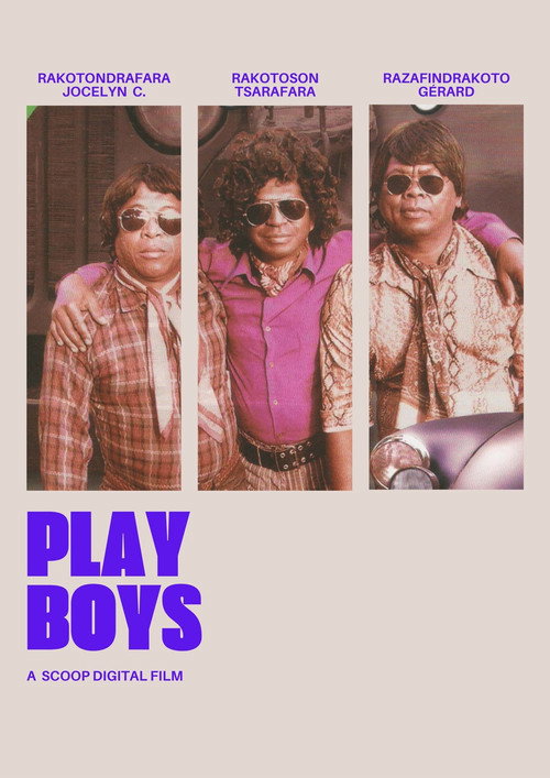 Movie poster for Play Boys (2008)