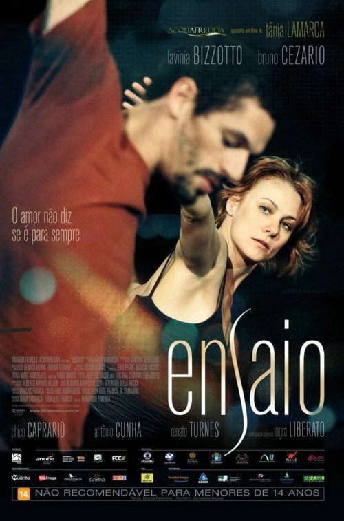 Movie poster for Ensaio (2013)