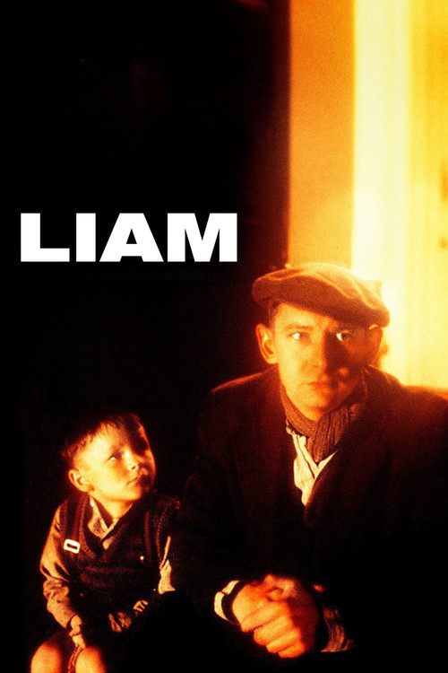 Movie poster for Liam (2001)