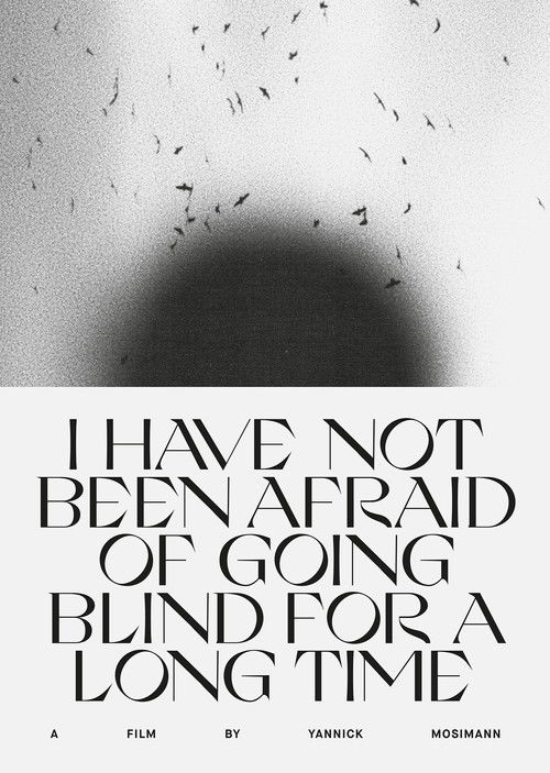 Movie poster for I HAVE NOT BEEN AFRAID OF GOING BLIND FOR A LONG TIME (2022)