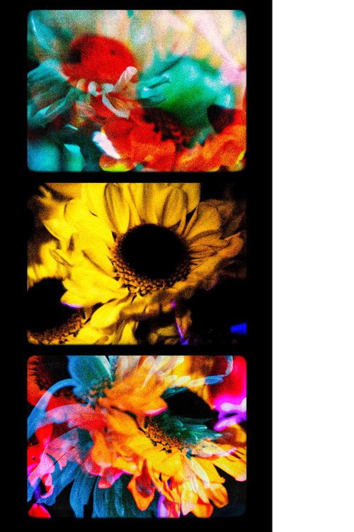 Movie poster for Flowers (II) (2025)