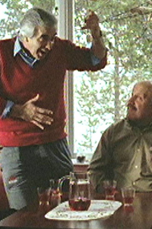 Movie poster for Lappsjukan (2001)