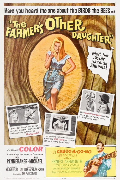 Movie poster for The Farmer's Other Daughter (1965)