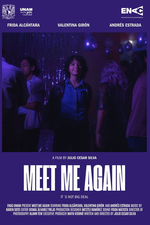 Movie poster for Meet Me Again (2025)