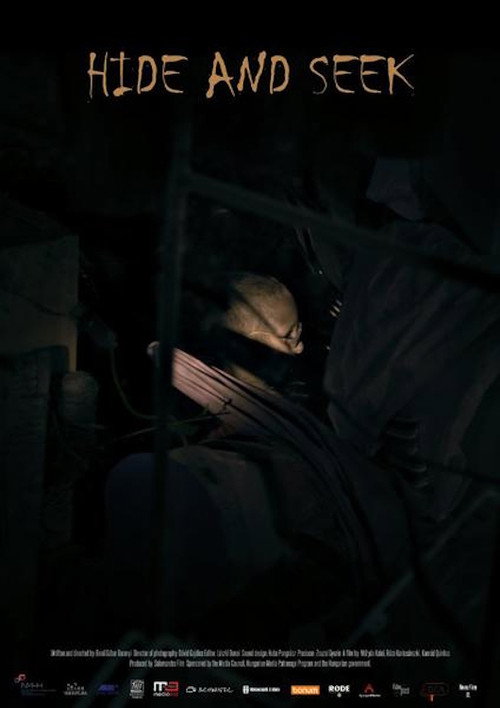 Movie poster for Hide and Seek (2016)