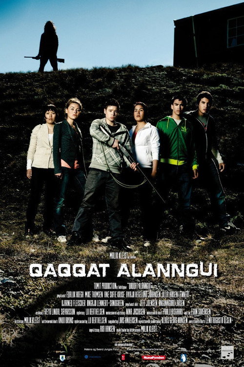 Movie poster for In Shadows in the Mountains (2011)