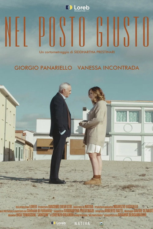 Movie poster for Nel posto giusto (2024)