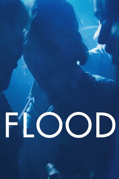 Movie poster for Flood (2020)