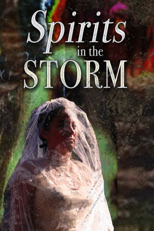 Movie poster for Spirits in the Storm (2019)