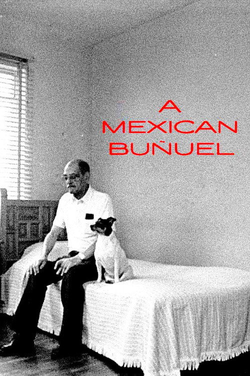 Movie poster for A Mexican Buñuel (1997)