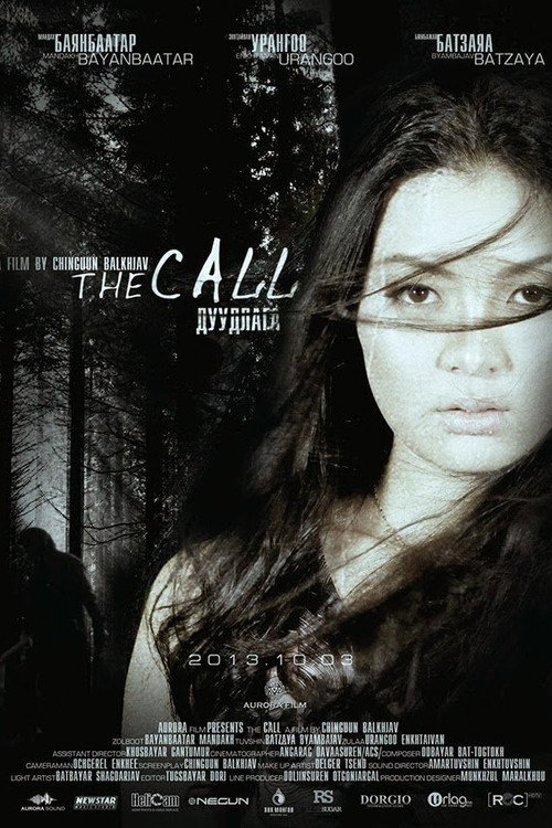 Movie poster for The Call (2013)