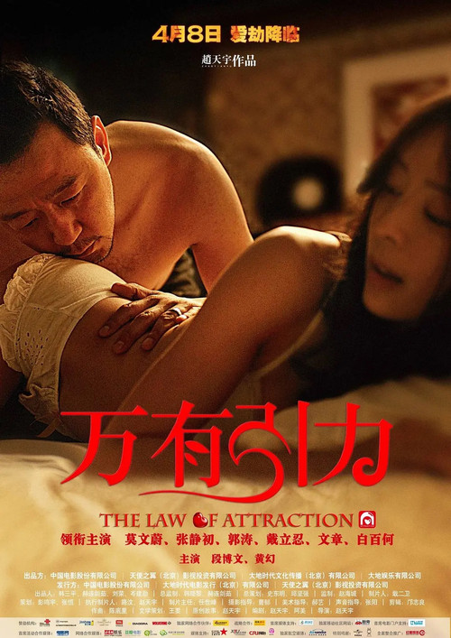 Movie poster for The Law of Attraction (2011)
