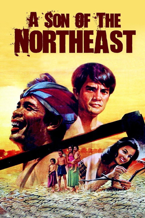 Movie poster for A Son of the Northeast (1982)