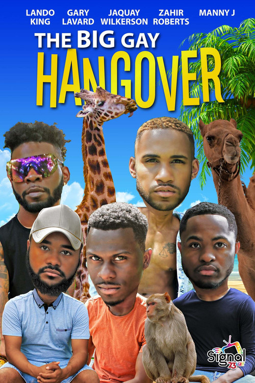 Movie poster for The Big Gay Hangover (2017)