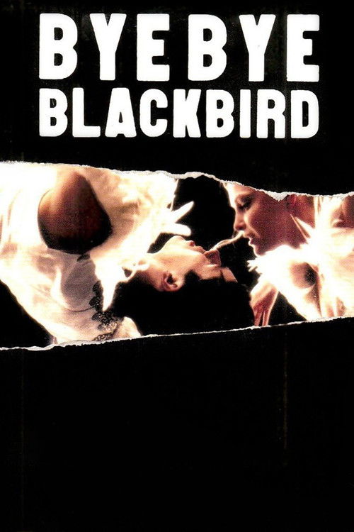 Movie poster for Bye Bye Blackbird (2005)