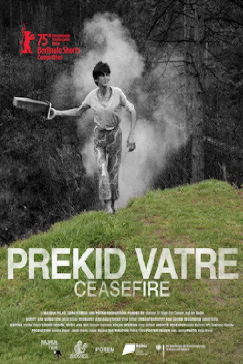 Movie poster for Ceasefire (2025)