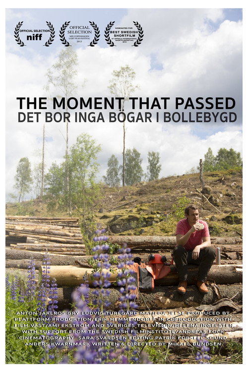 Movie poster for The Moment That Passed (2015)