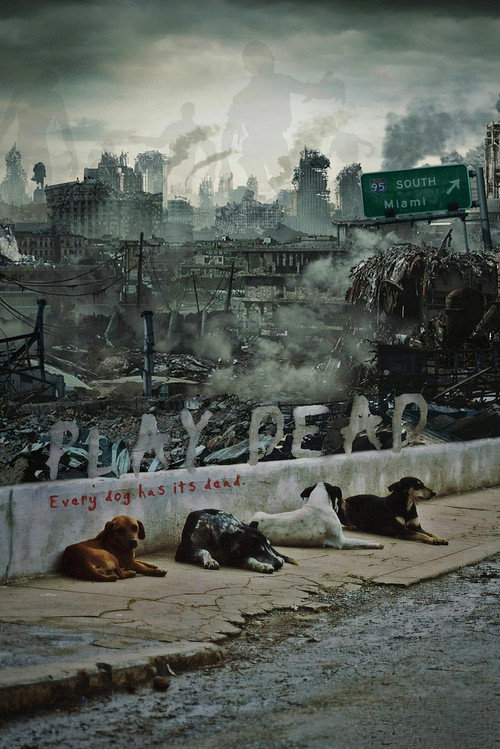 Movie poster for Play Dead (2011)