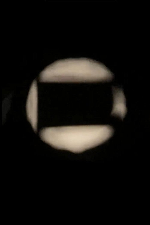 Movie poster for Maya (2022)