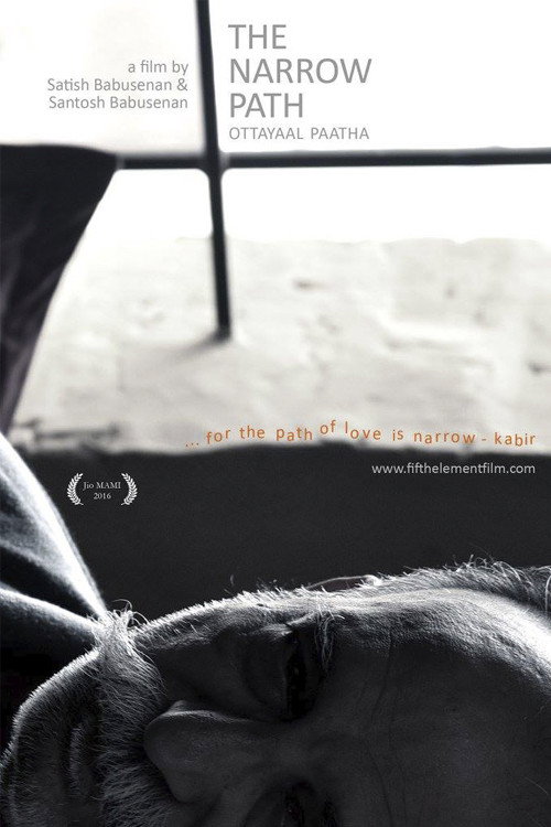 Movie poster for The Narrow Path (2016)
