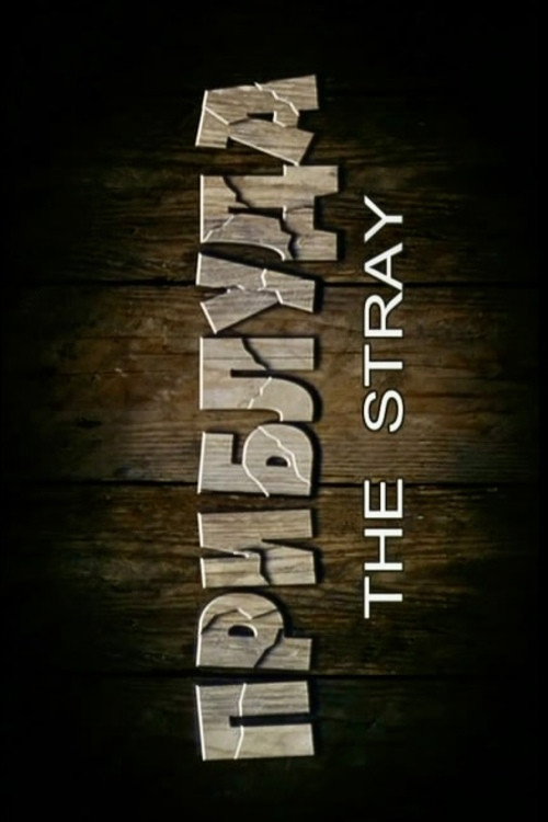 Movie poster for The Stray (2007)