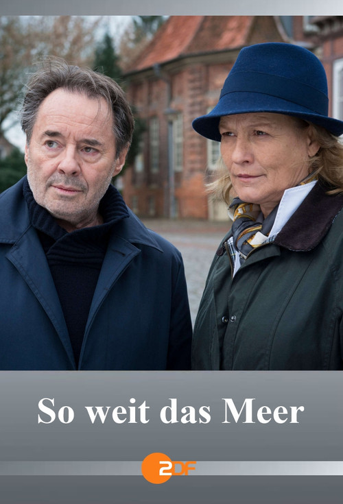 Movie poster for So weit das Meer (2019)