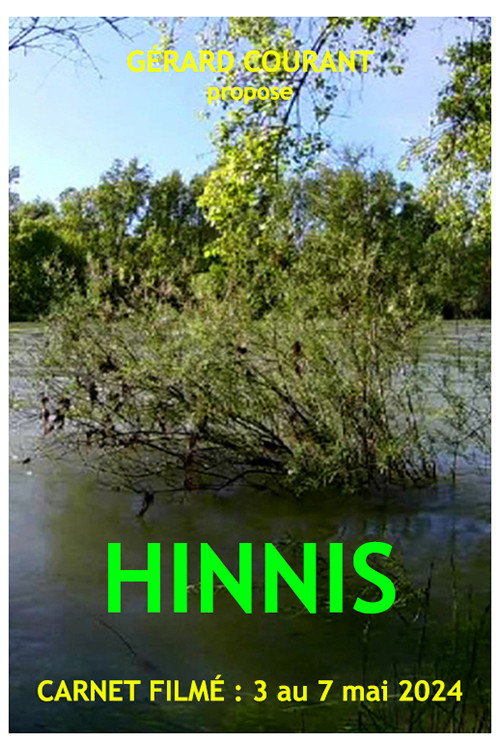 Movie poster for Hinnis (2024)