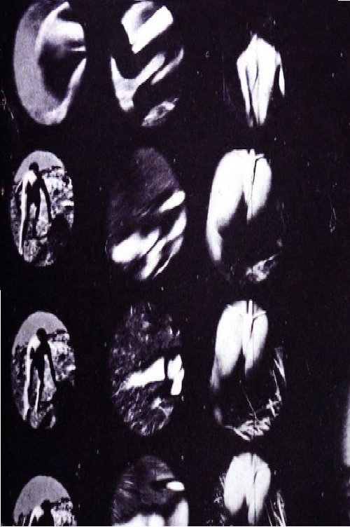 Movie poster for Experiment 002 (1994)