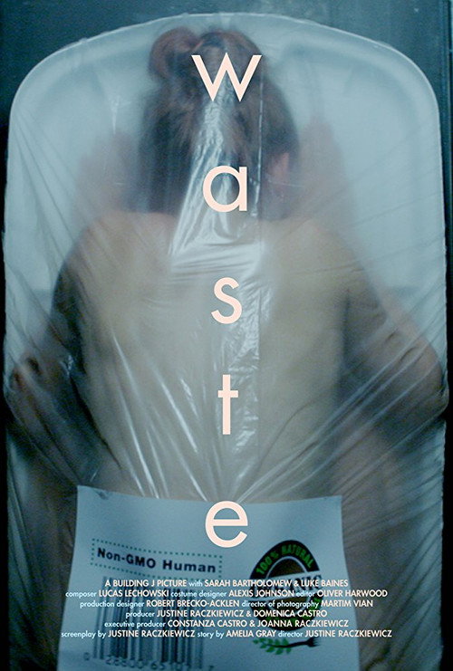 Movie poster for Waste (2016)