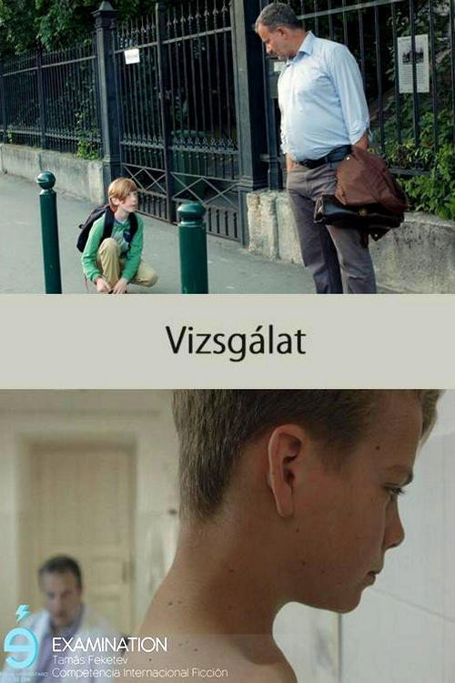 Movie poster for Examination (2016)