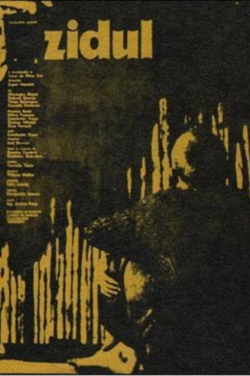Movie poster for The Wall (1975)
