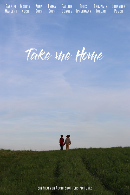 Movie poster for Take me Home (2024)