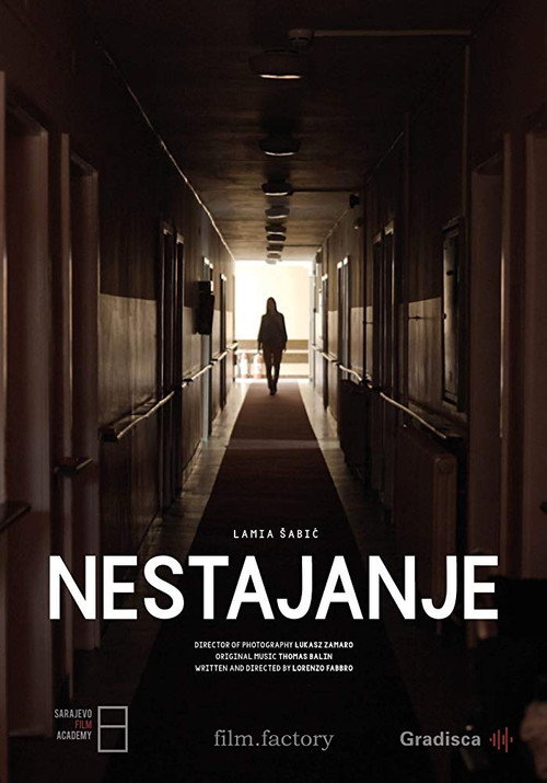 Movie poster for Vanishing (2018)