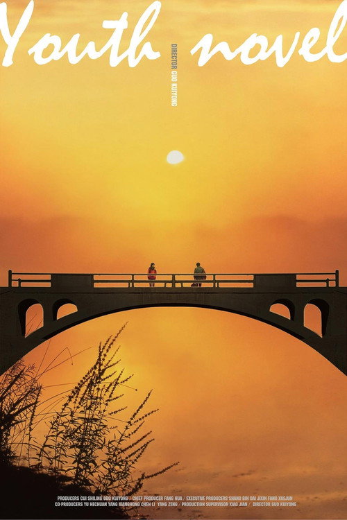 Movie poster for Youth Novel (2013)