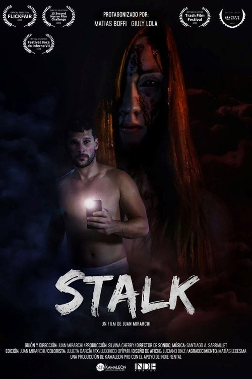 Movie poster for Stalk (2020)